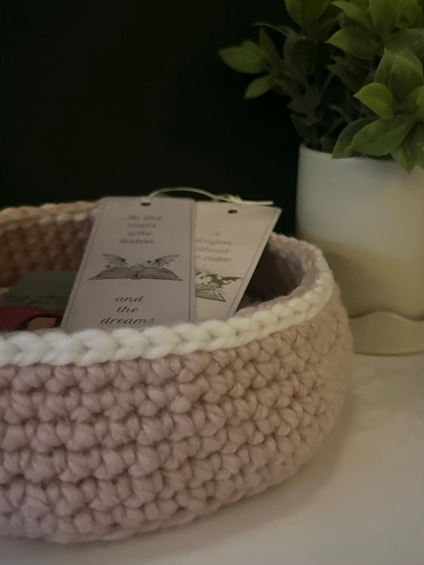 Bookshelf basket - crochet