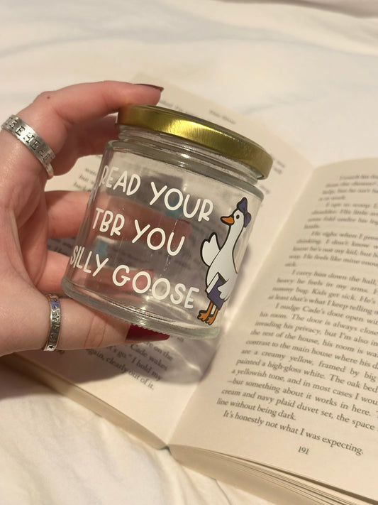 Tbr jar - silly goose