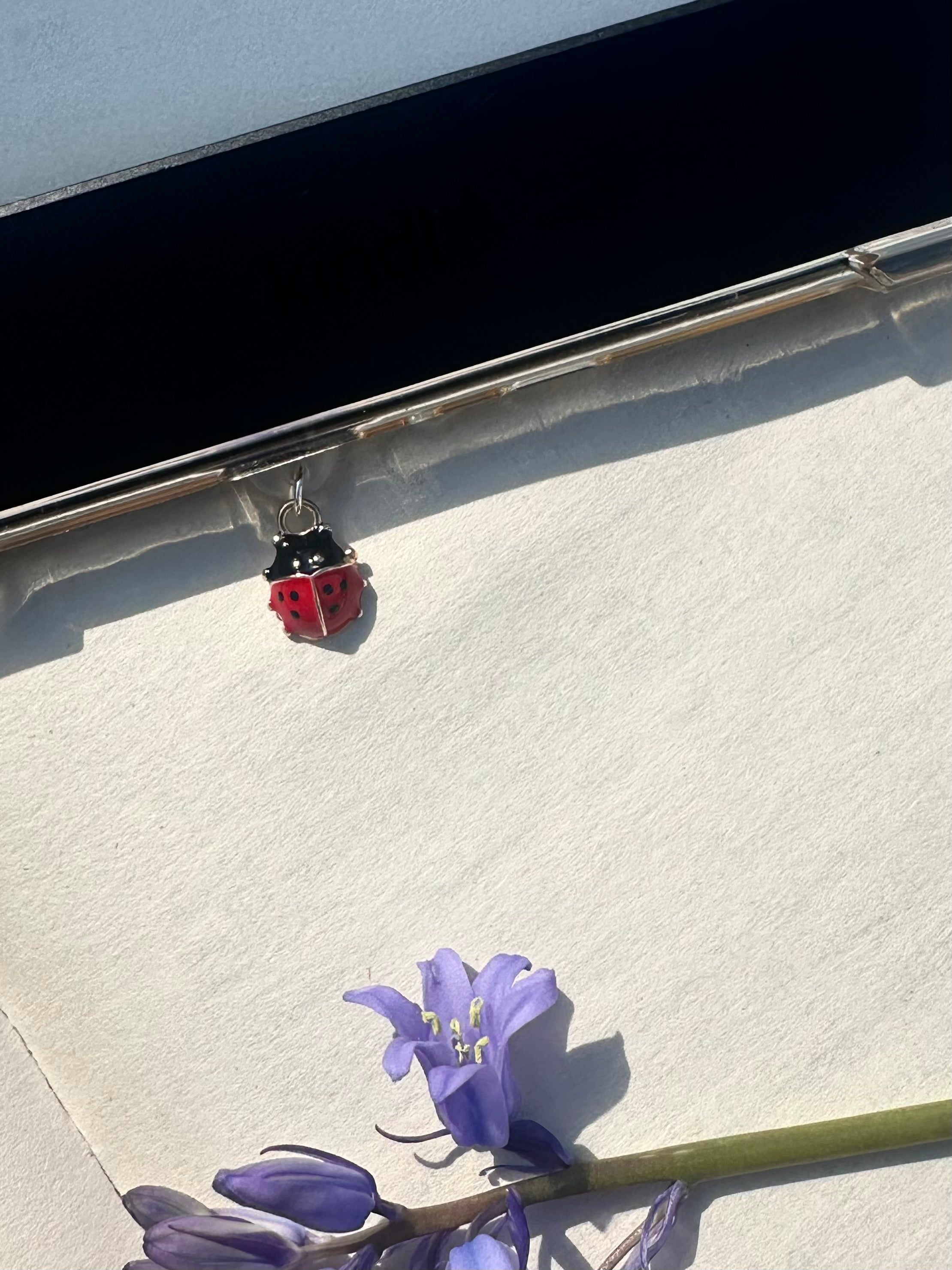 Ladybird kindle charm