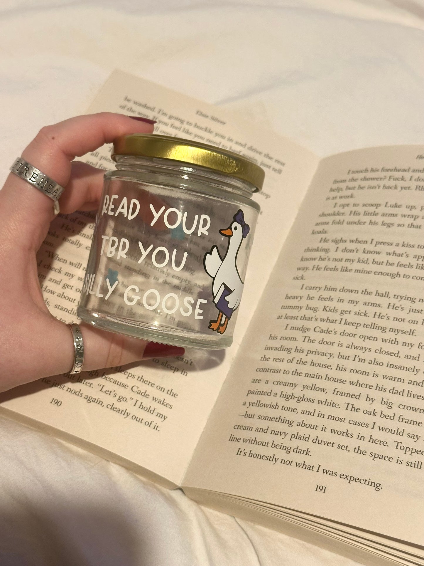 Tbr jar - silly goose