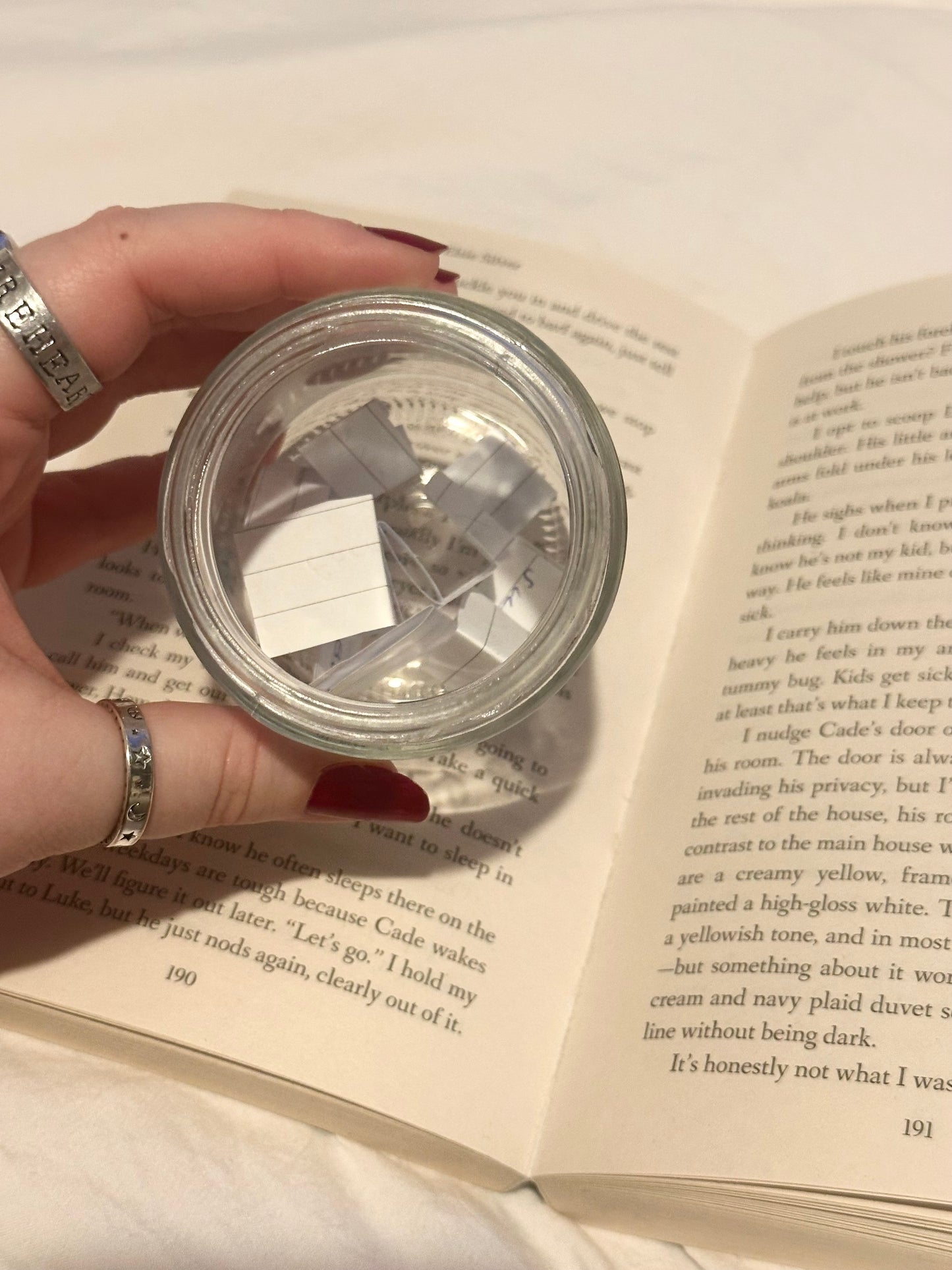 Tbr jar - silly goose